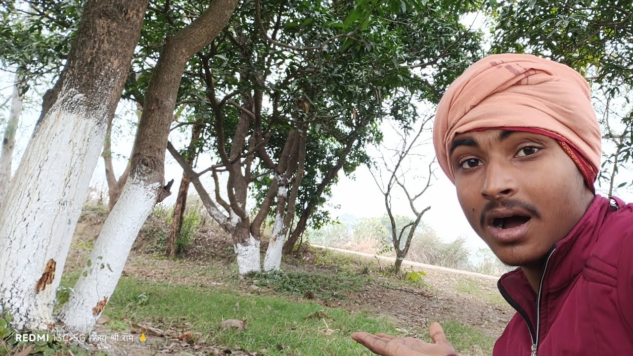 सभी पेड़ो में चुना लग गया 😮