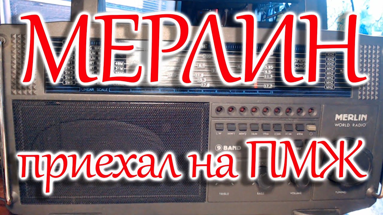 МЕРЛИН, подарок от подписчика канала.