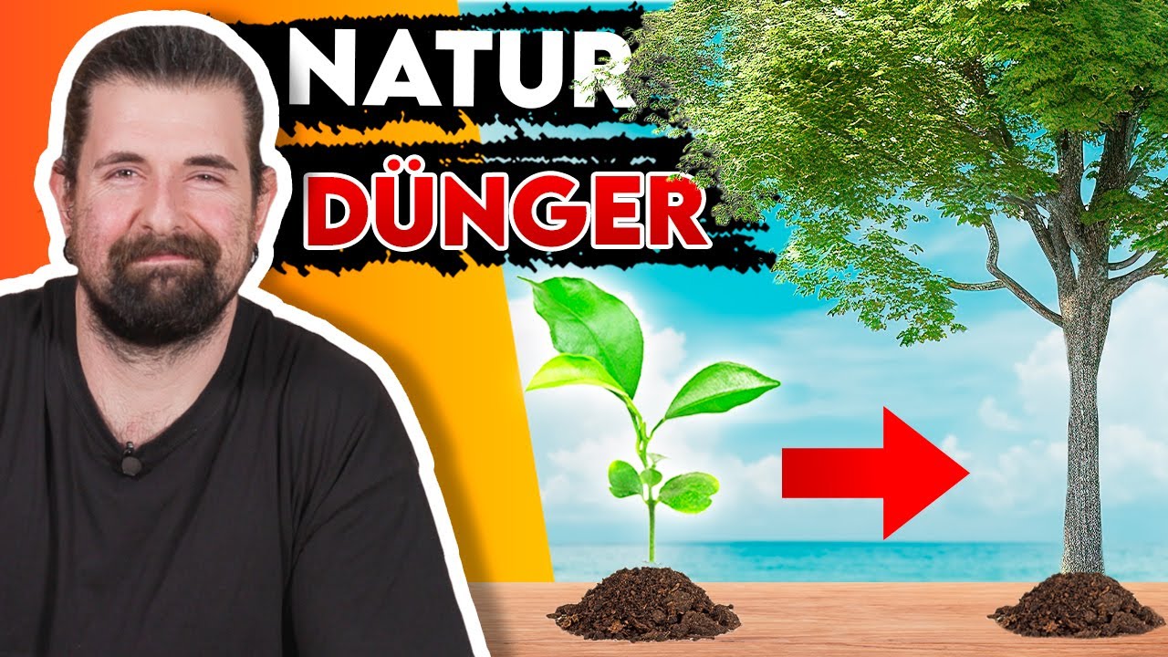 Richtig Düngen! | Die BESTEN Organischen Natur-Dünger