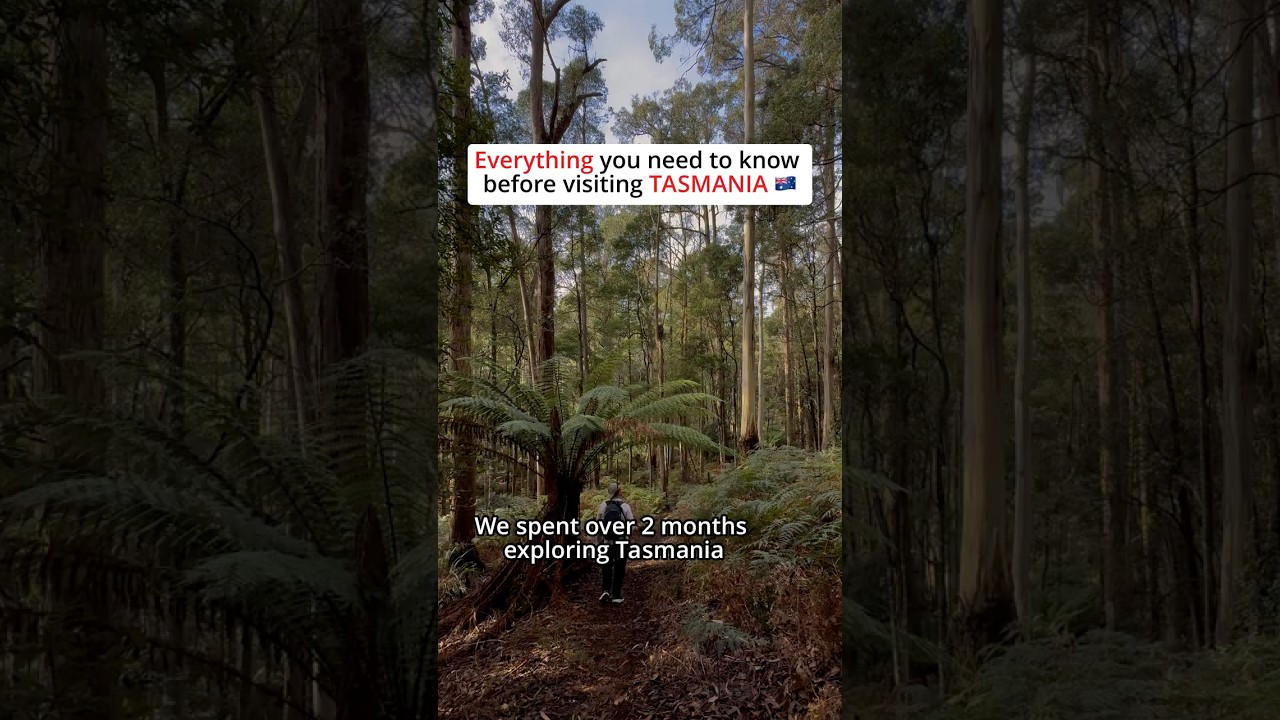 Everything You Need to Know Before Visiting Tasmania | Tasmania Travel Guide 2025 🇦🇺