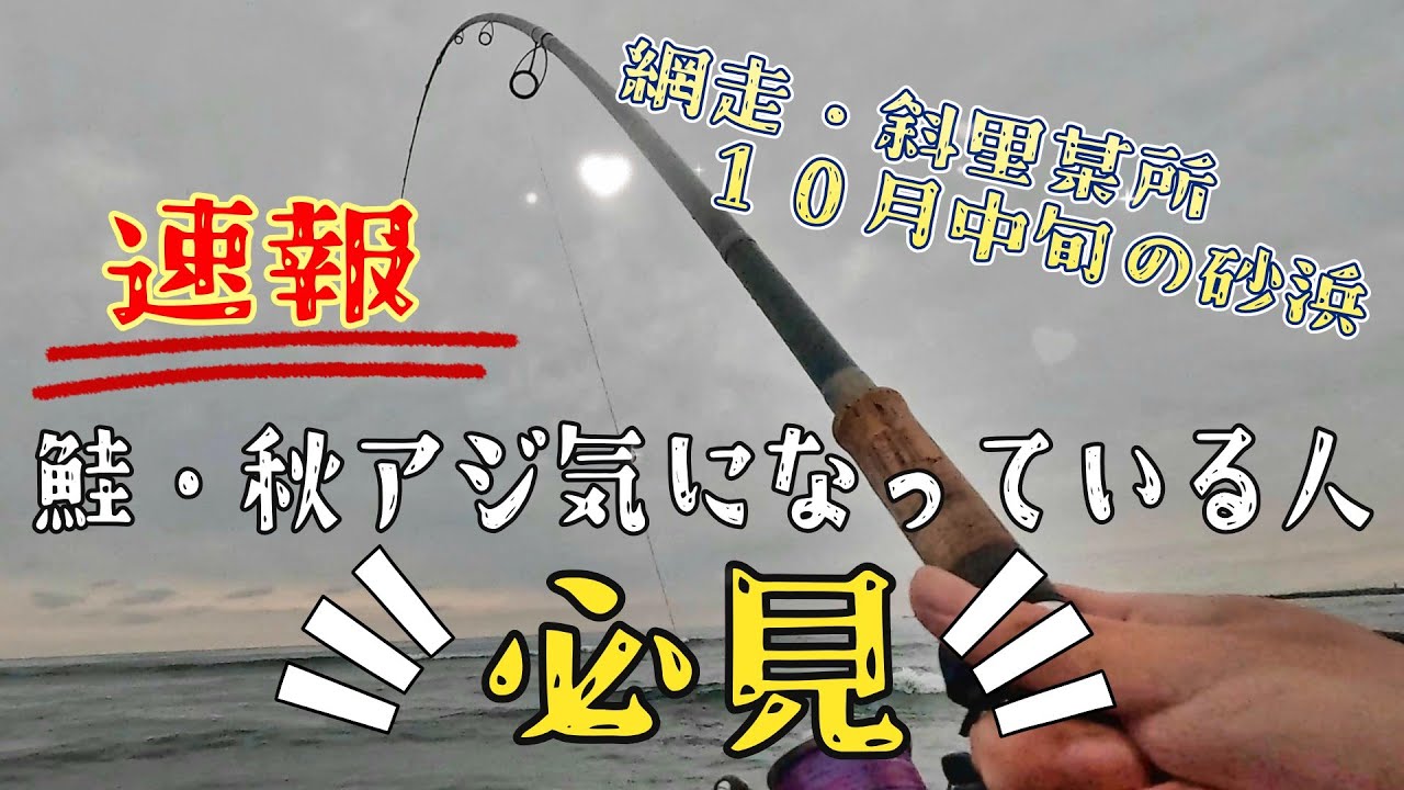 2025年10月中旬 網走・斜里某所 鮭　秋アジ釣り