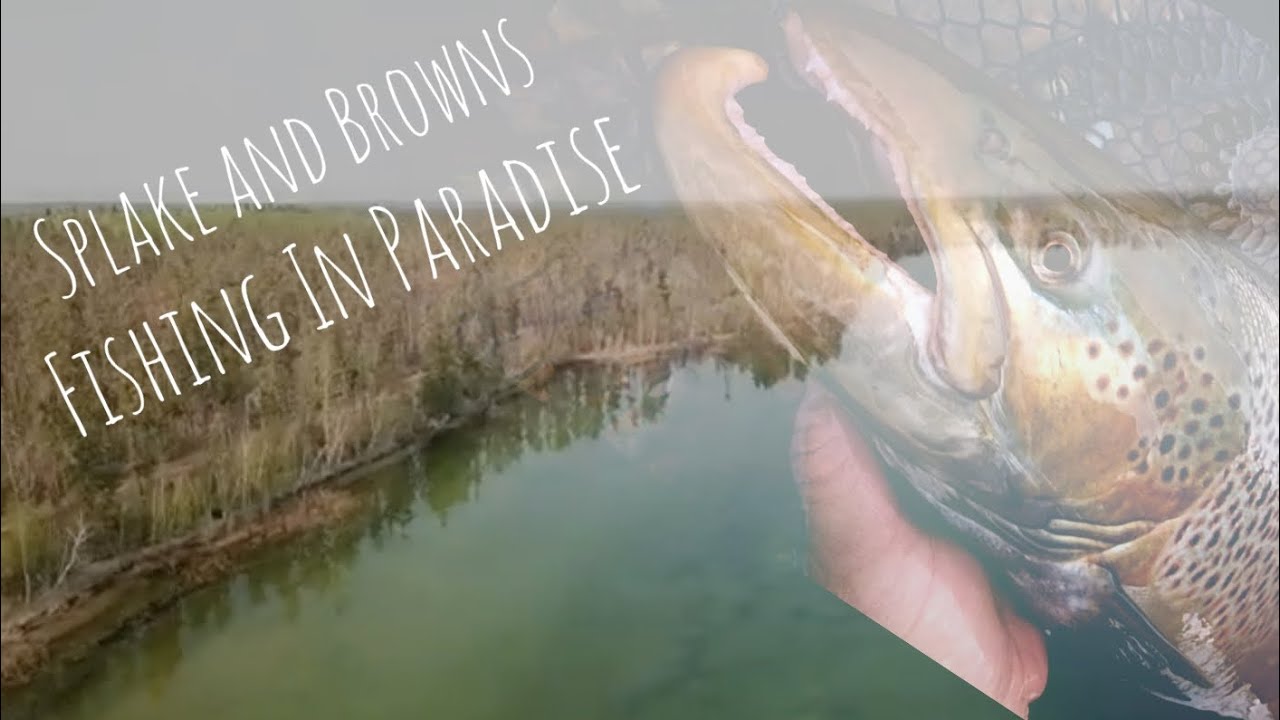 Fishing the Most Beautiful Lake in Sask