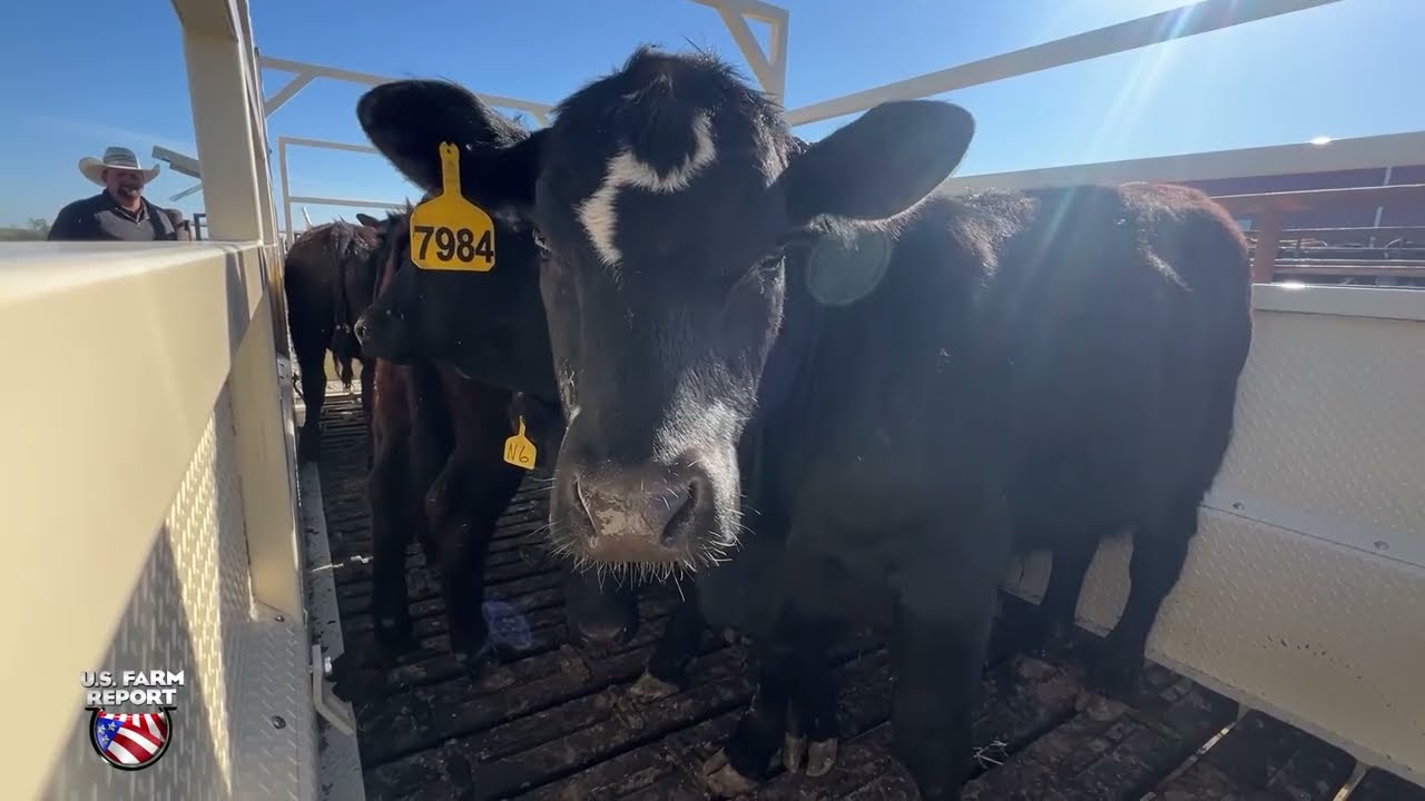 A Tale of Two Ag Economies