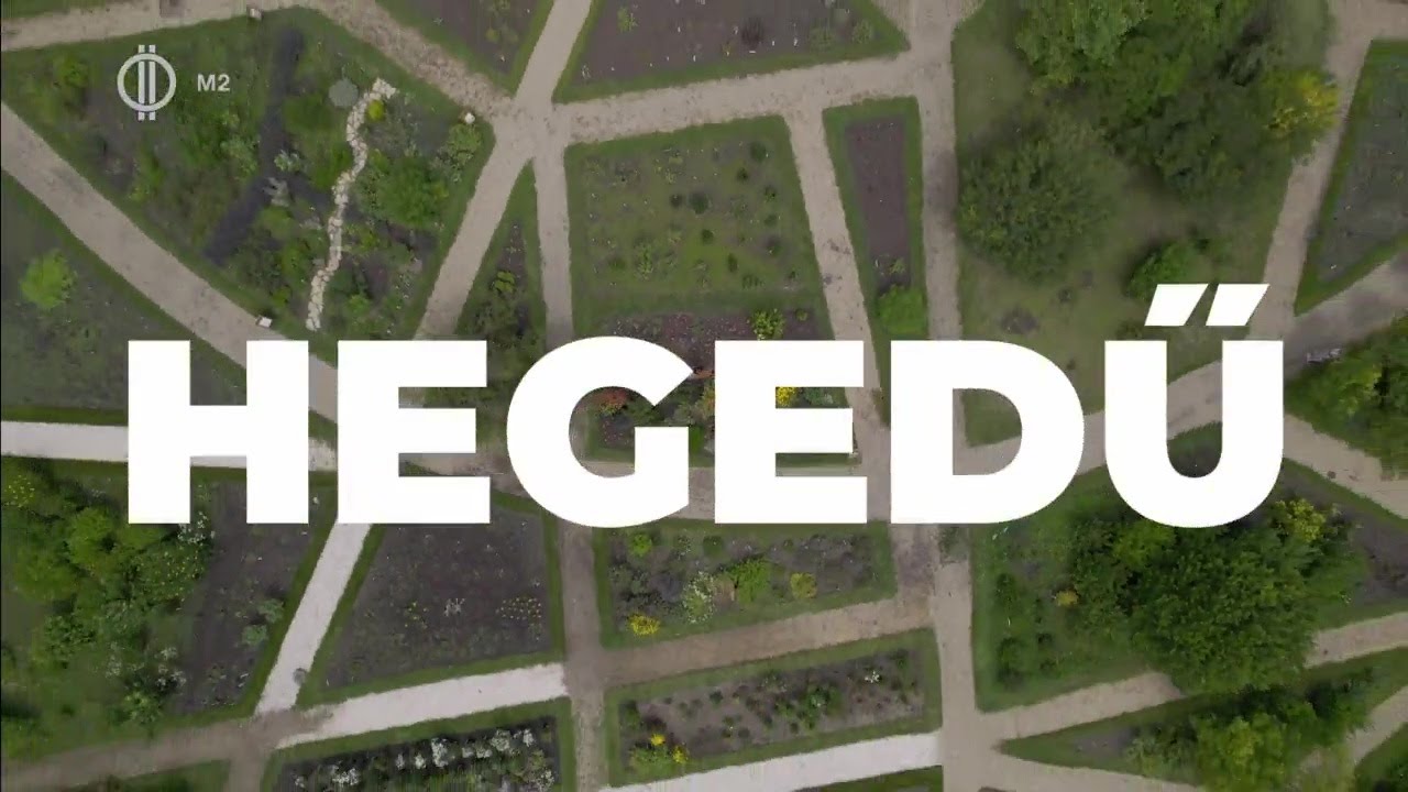 Hegedű &ndash; &Uuml;temmutat&oacute;