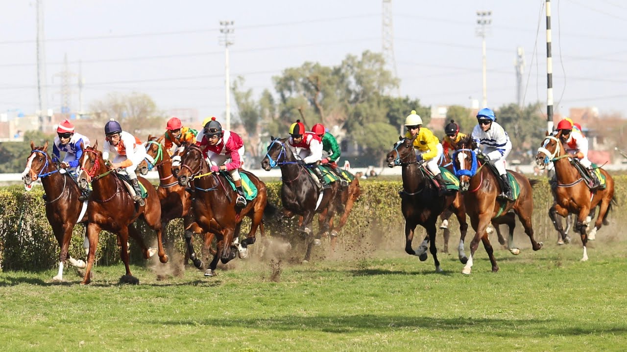 6th Race The Pakistan Derby 2024 Distance 2400 Meters Winner Jim And Tonic ( Pakistan Horse Racing )