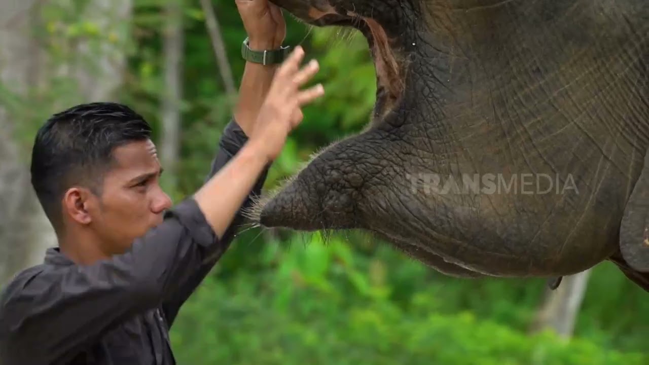 [FULL] EKSPEDISI ACEH | SI OTAN (30/04/24)