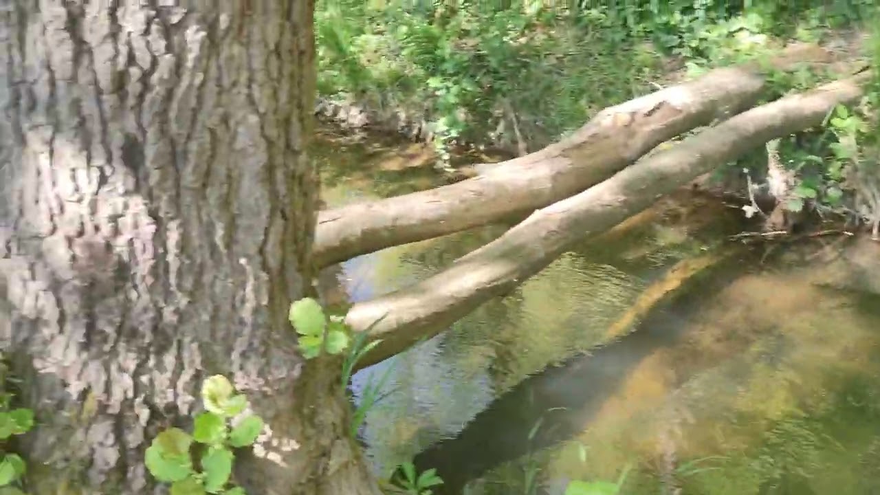 Eyüp Pirinççi köyü