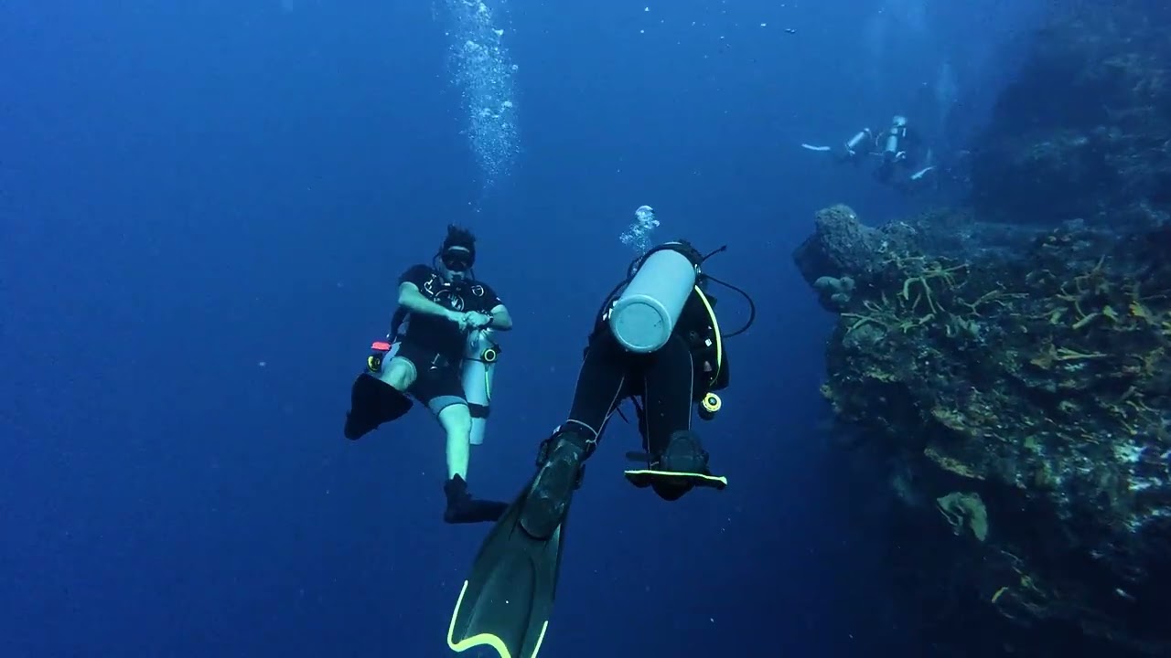 Cozumel Dive 1
