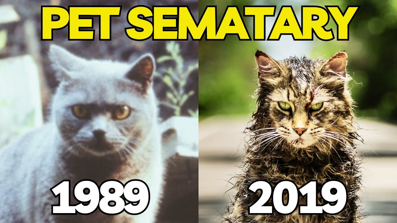 PET SEMATARY (1989) Where Are The Actors? Comparing Top Cast and Characters Original vs Remake