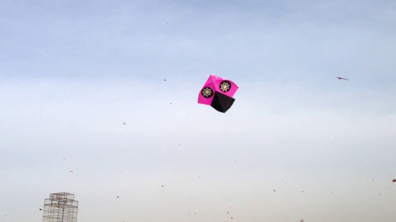 6 Tawa Flight  Tench Basant 2018