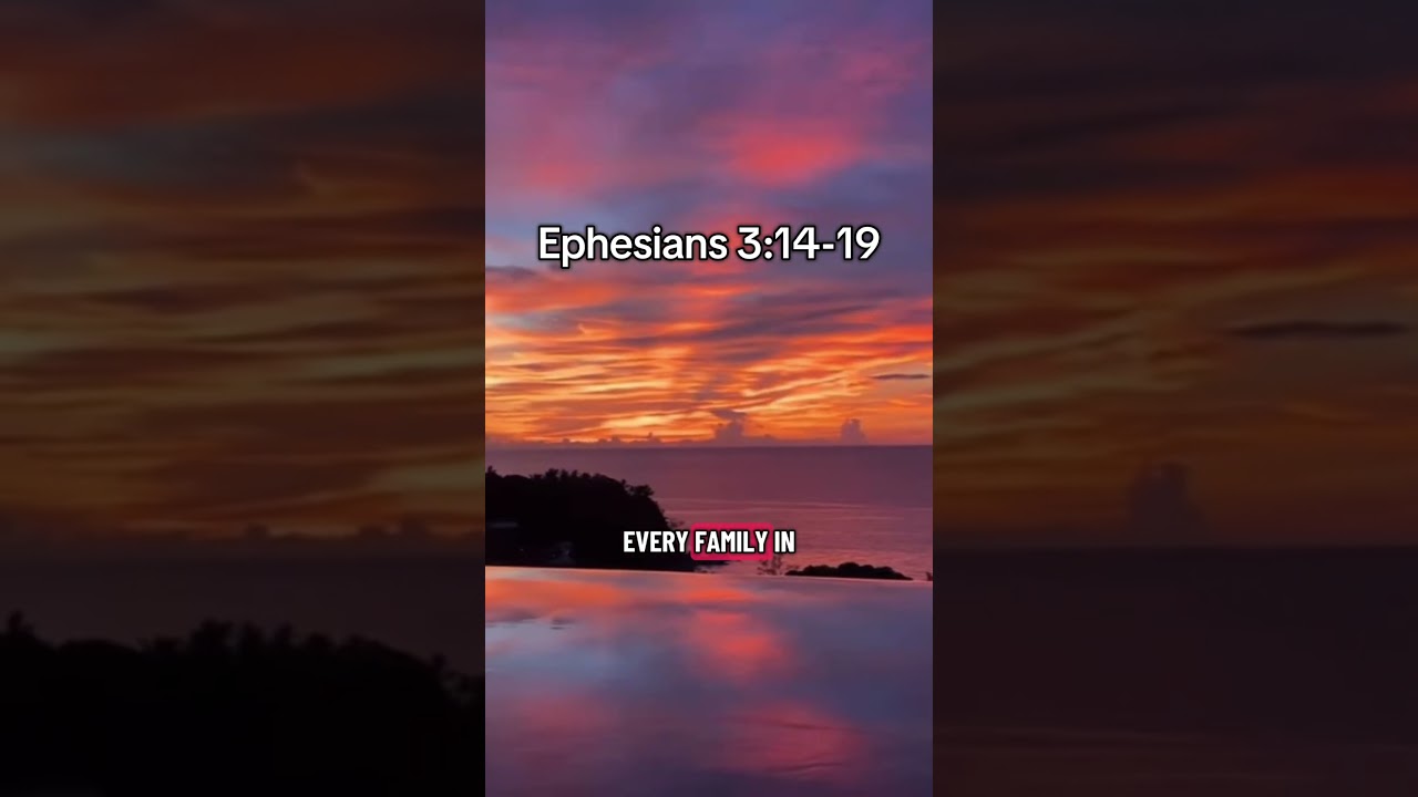 Ephesians 3:14-19 #biblestudy #biblesummary #dailydevotion #ephesians #christian