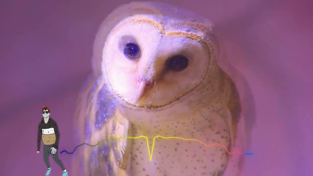 MANUK HANTU TWINGKLE