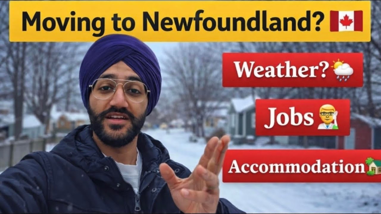 Things you should know before moving to Newfoundland🇨🇦 | My personal experience🍁