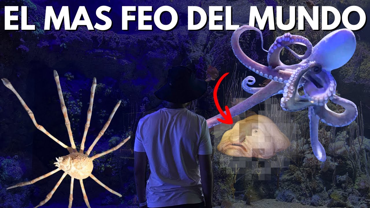 El ACUARIO mas GRANDE de todo EUROPA | Valencia