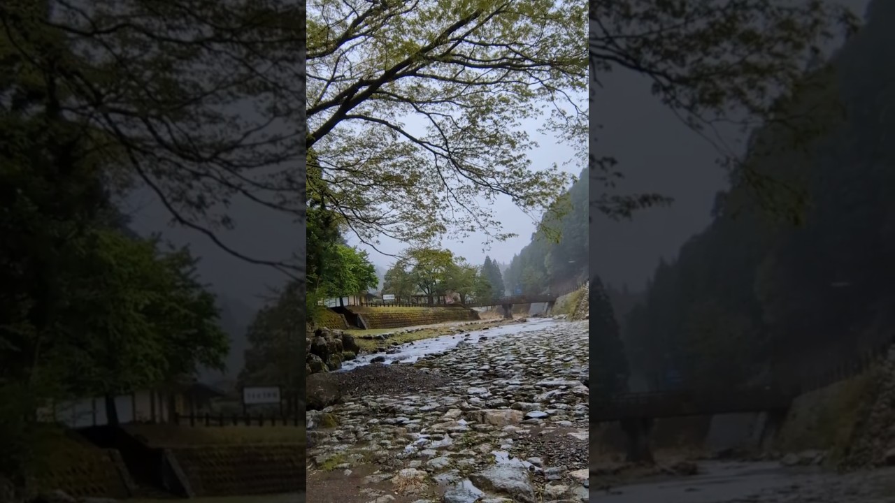 福井県小浜市 鵜の瀬 2025.4.23