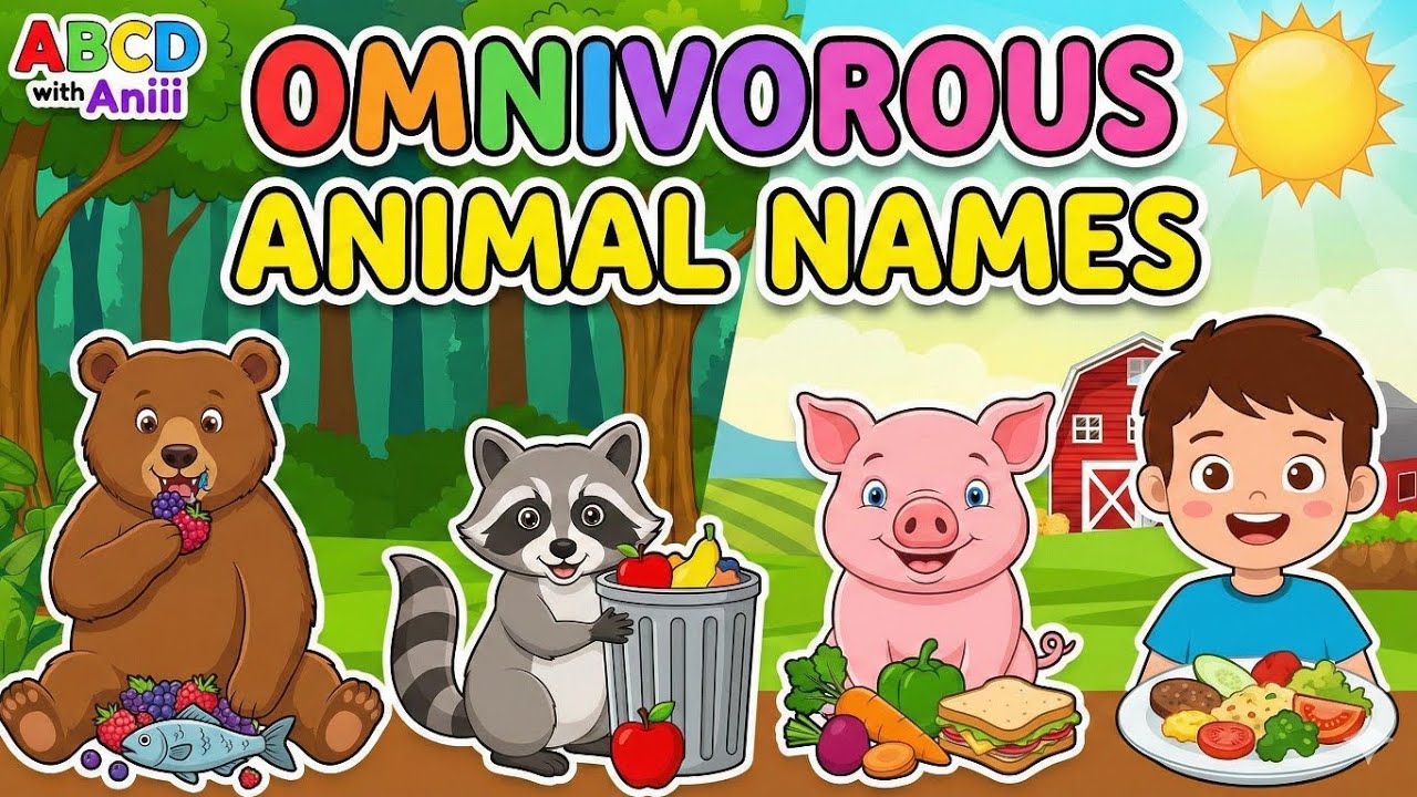Omnivorous Animals Name with Pictures | Learn Omnivores | ABCD with Aniii