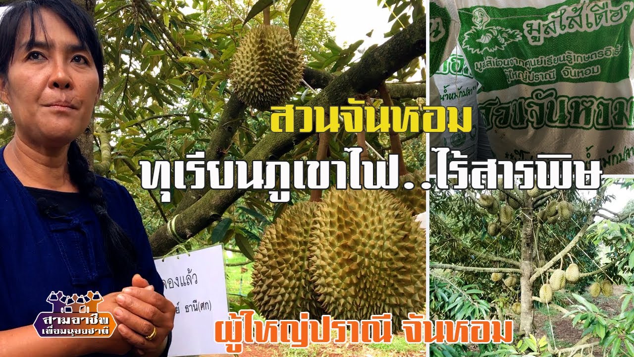 สวนจันหอม 