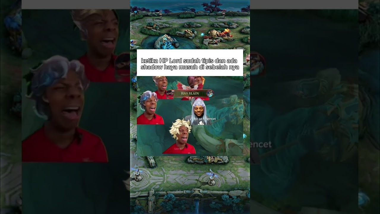 Normal day in public hp#mobilelegends#freestyle#funnymemes#mlbb#cat#verz#crd#shortvideo