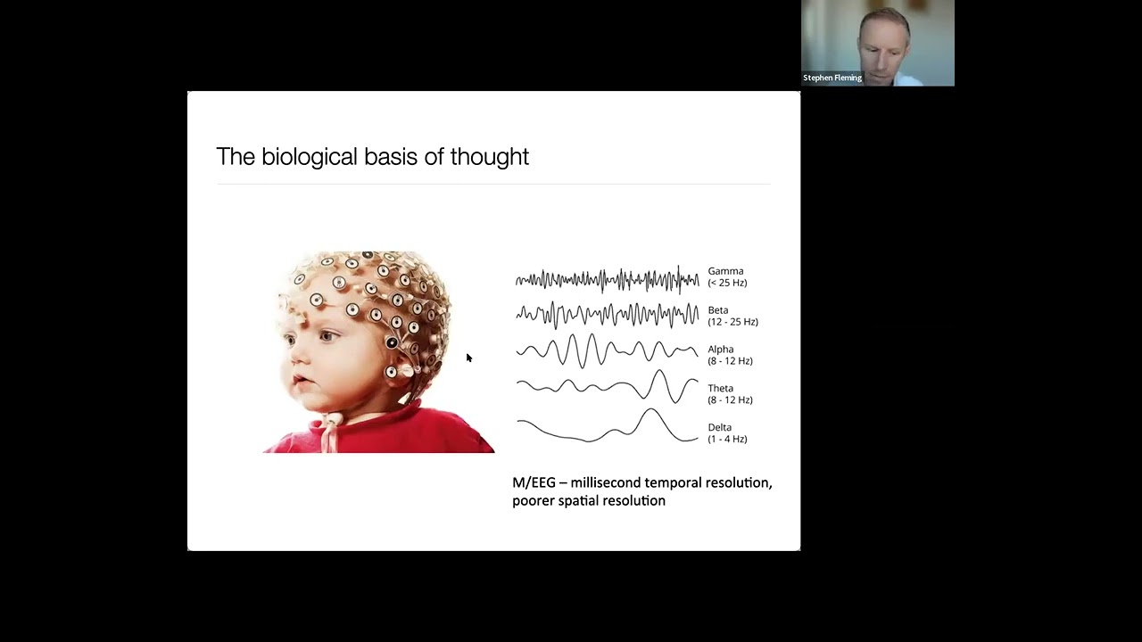 The science of self-awareness: Neural and computational models of metacognition and consciousness