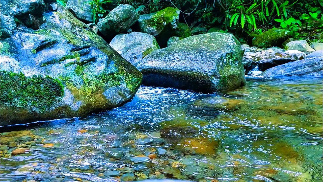 River Sounds for Studying: Natural White Noise for Deep Focus, Concentration and Work