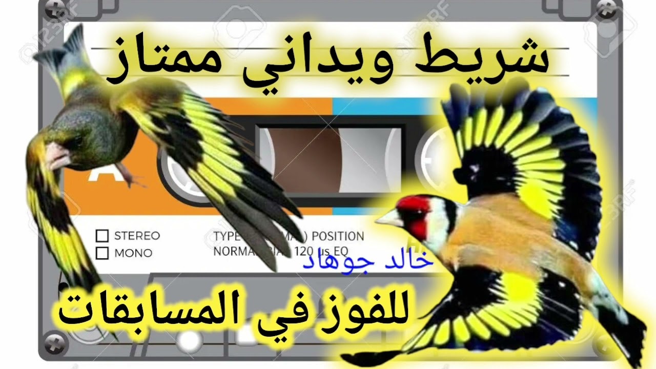 شريط ويداني مجرب وناجح 100/100 هدية لأصدقائنا
