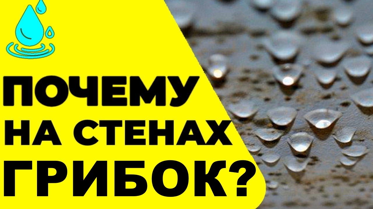 Разбираемся с Грибком и Промерзающими Стенами: Точка Росы и Вентиляция в Доме! 🏡🌧️