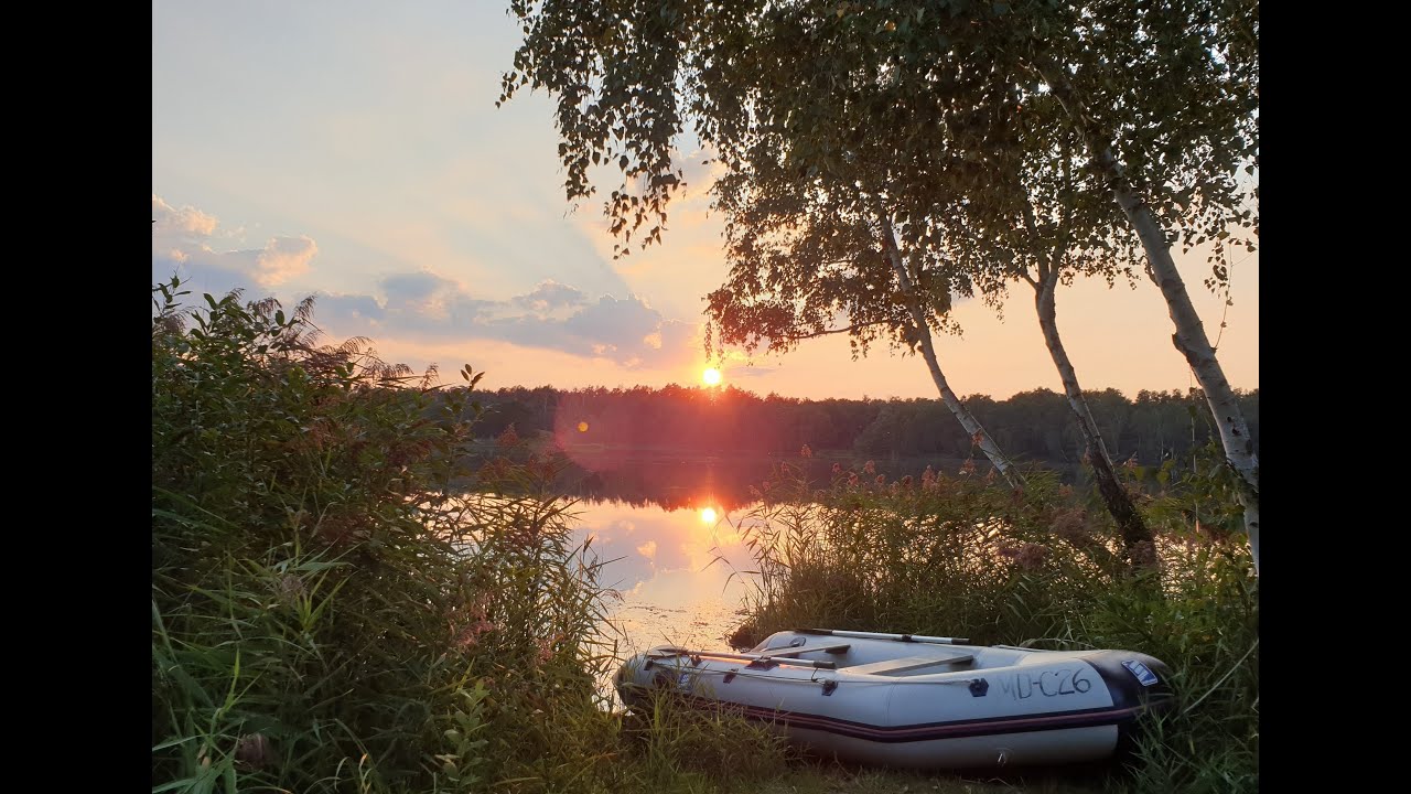 Camping am Bergwitzsee | Deutschland #019