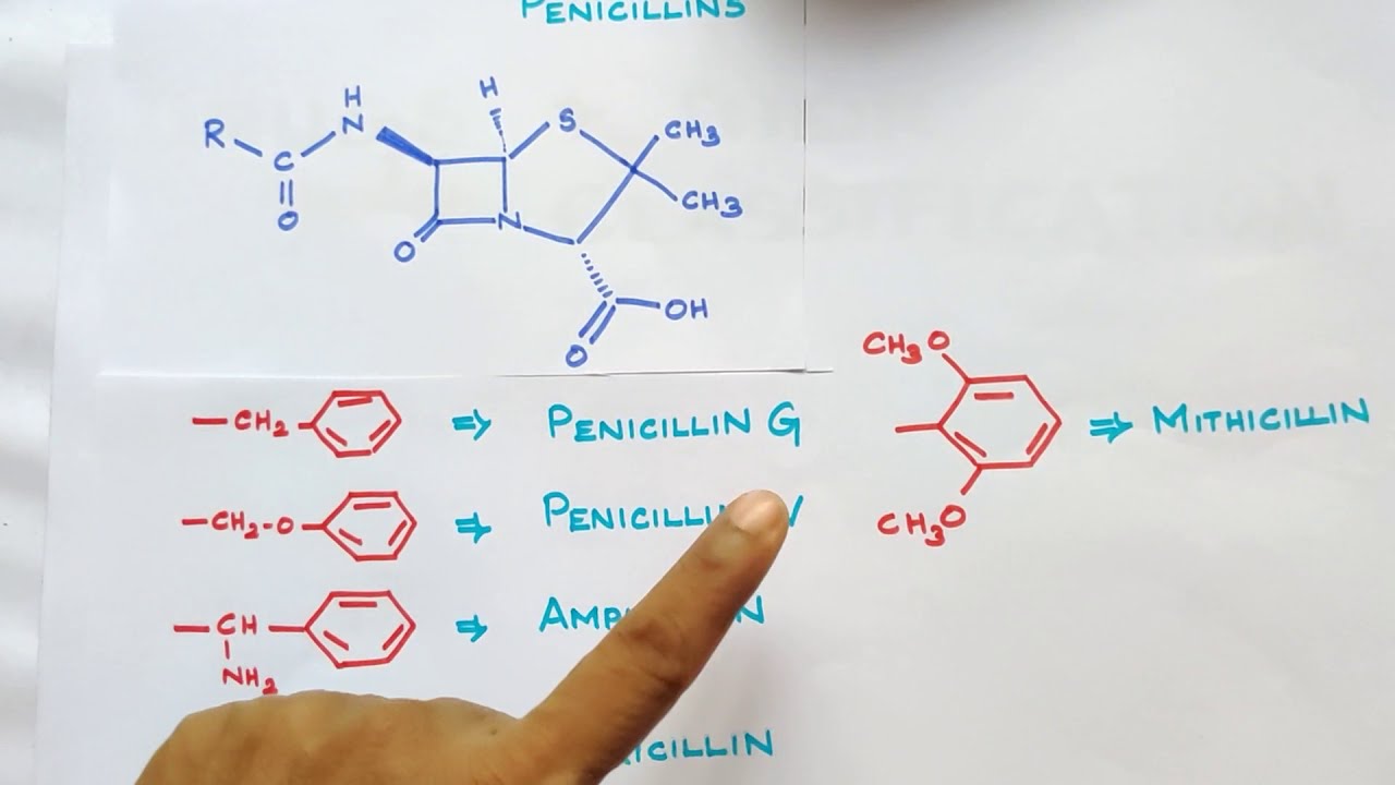CEDL-1/Drugs and their Classification/Chemistry in Every day Life/Explanation in TAMIL/TN 12th Std