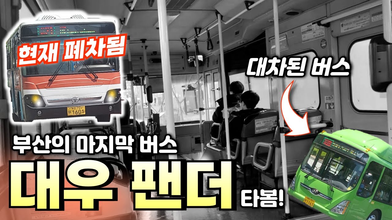 지금 사라진 부산 최후의 팬더 차량 타봄! (구형 BS090 로얄미디)