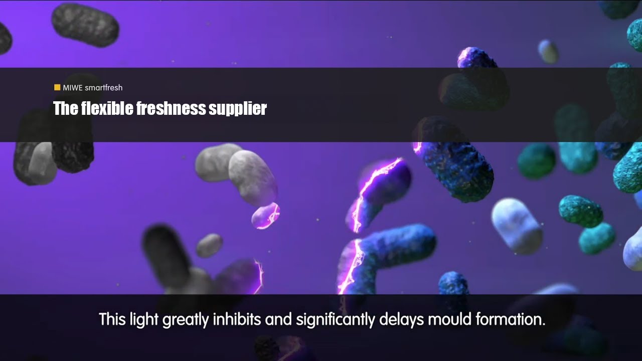 MIWE smartfresh - The flexible freshness supplier (EN)