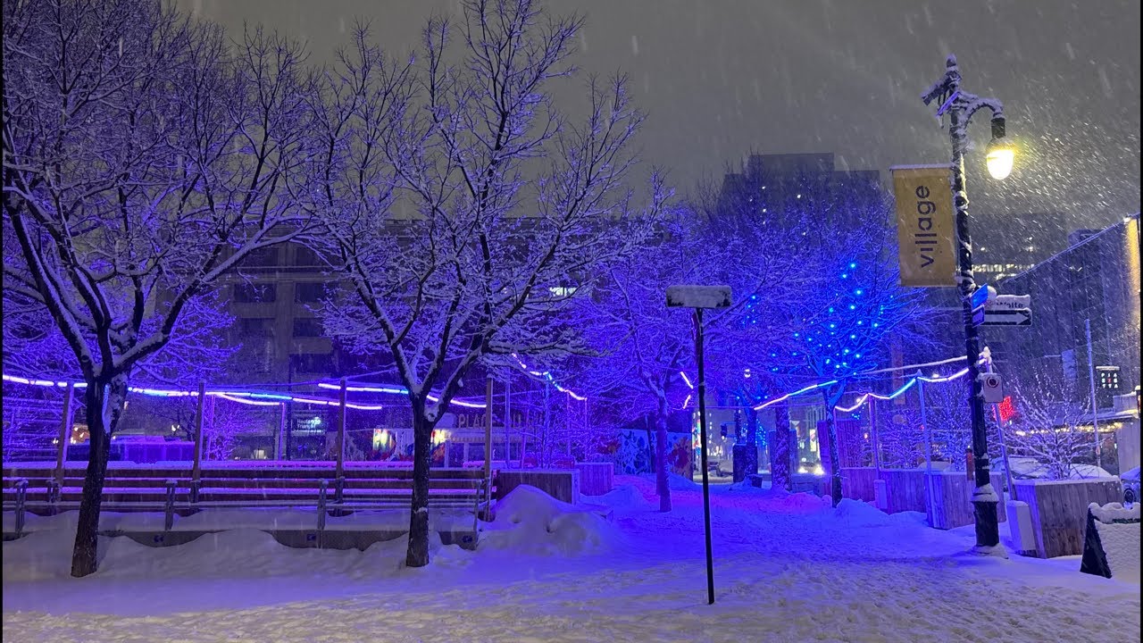Snowy Walk