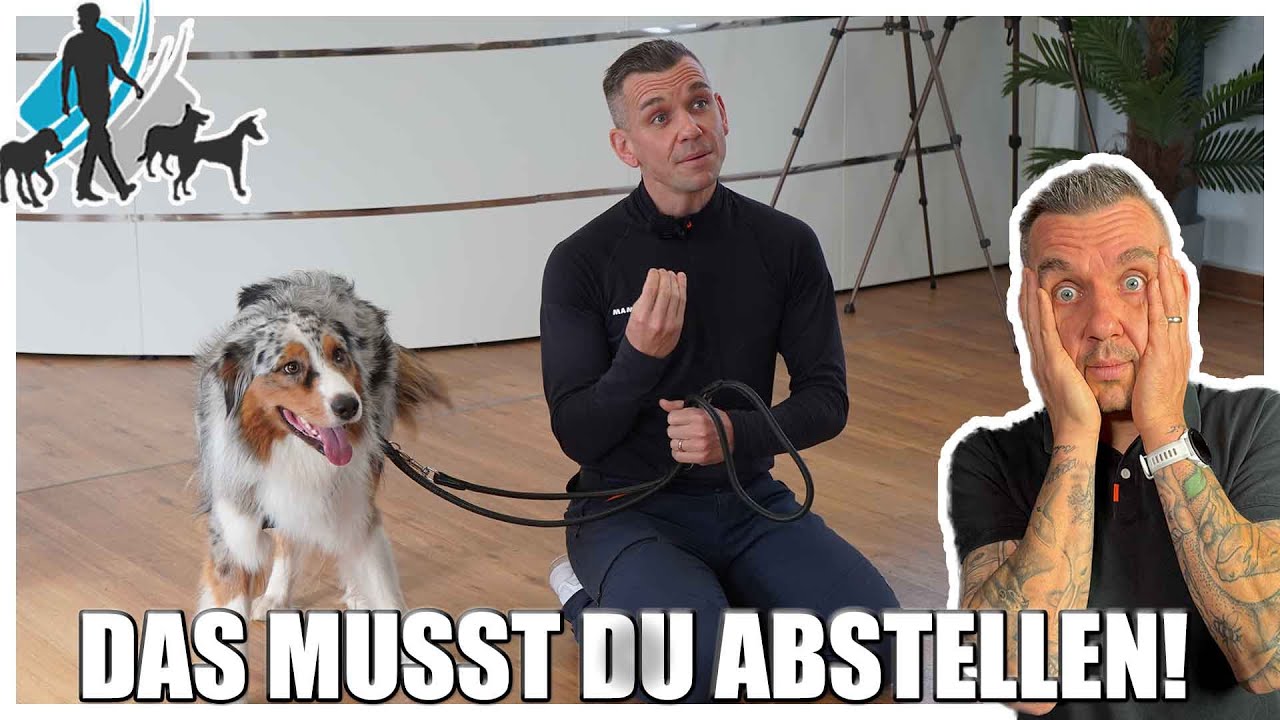 Mein Raum ist keine Party! | Kundenstimmen und Training #8