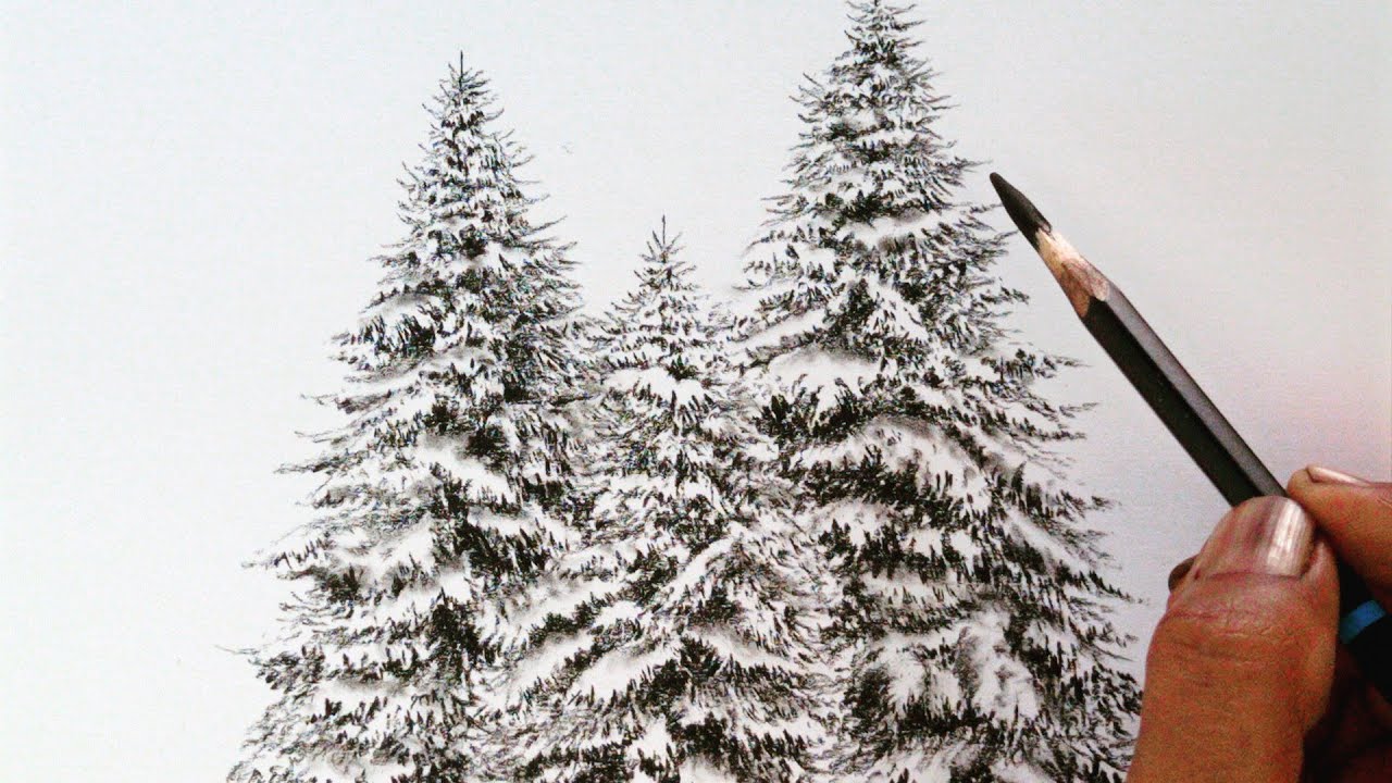 How to draw snow covered winter trees by pencil// Pencil drawing//