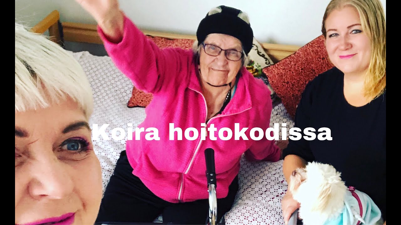 Koiraterapiaa hoitokodissa