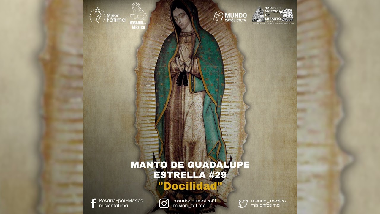 29 Docilidad