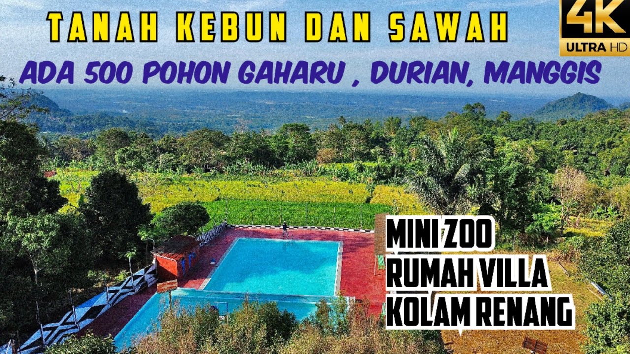 Tanah Kebun Gaharu Durian Manggis Cengkeh dan Sawah + Villa + Kolam Renang Luas 1,3ha (13.000 m2)