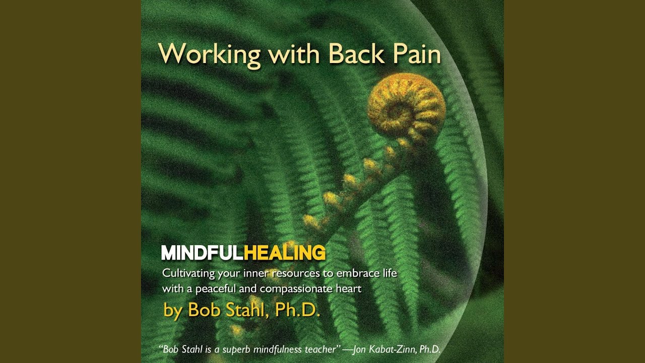 Guided Meditation for Back Pain