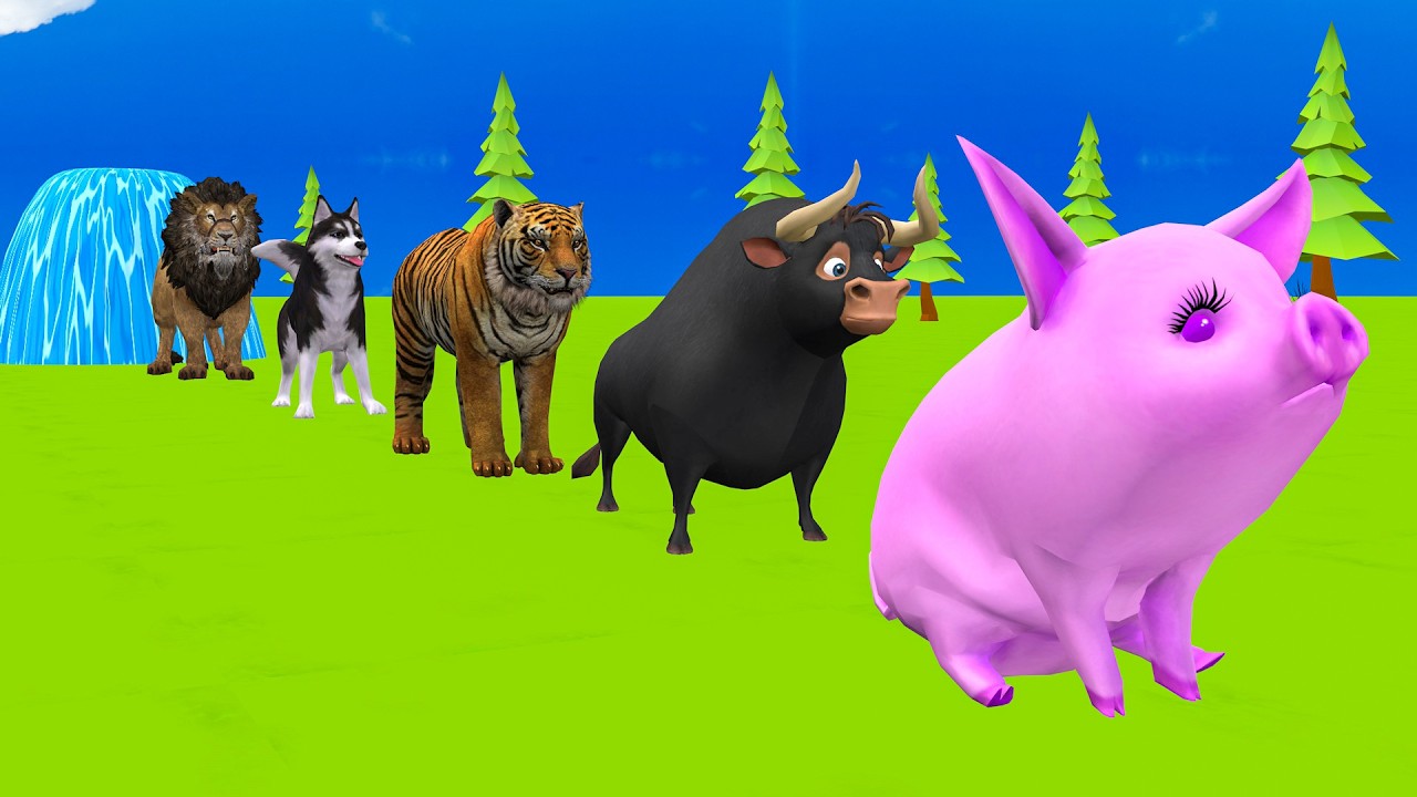 Long Slide Game With Elephant Gorilla Buffalo Hippopotamus Tiger - 3d Animal Game - Funny 3d Animals