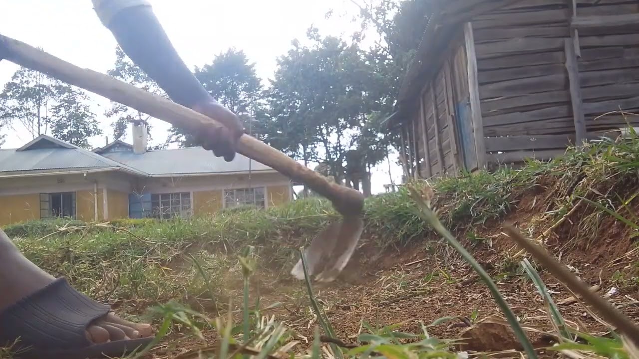 Simple way of making chicken house shaping 
