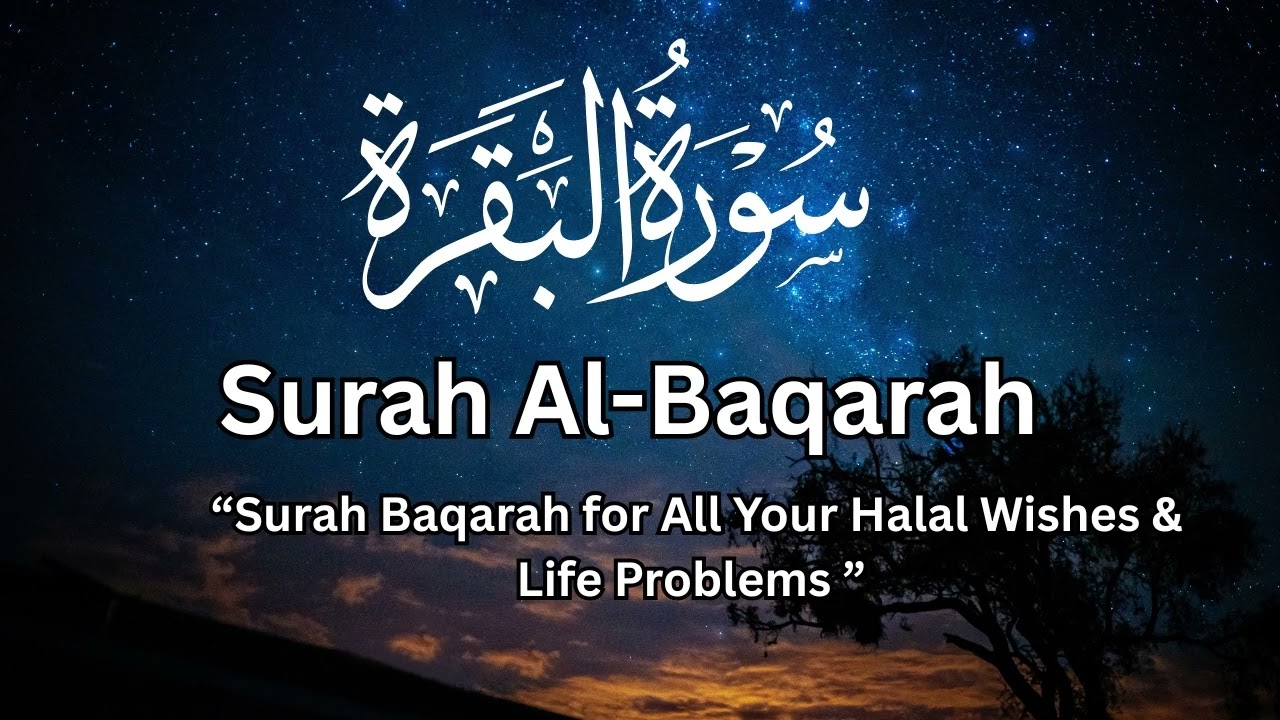 Surah Al Baqarah to Bring Love, Barakah & Harmony in Marriage