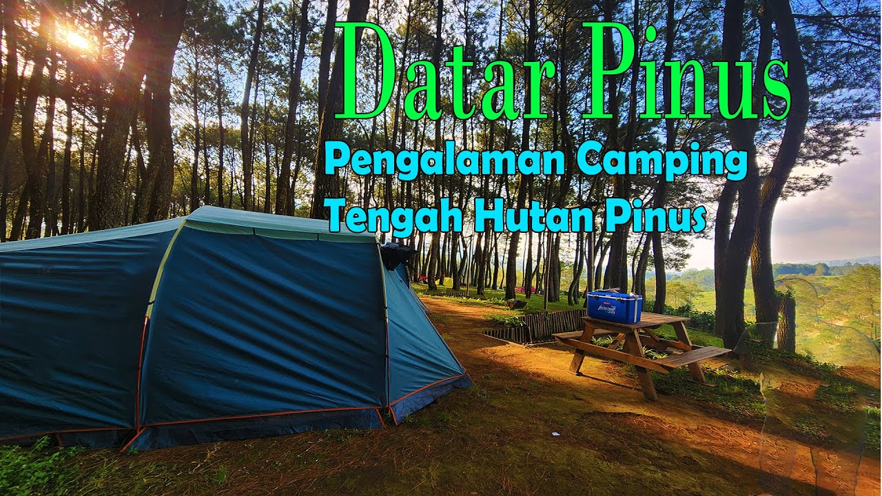 Camping Keluarga Paling Hits di Pangalengan! Seru Banget di Datar Pinus 🌲🔥