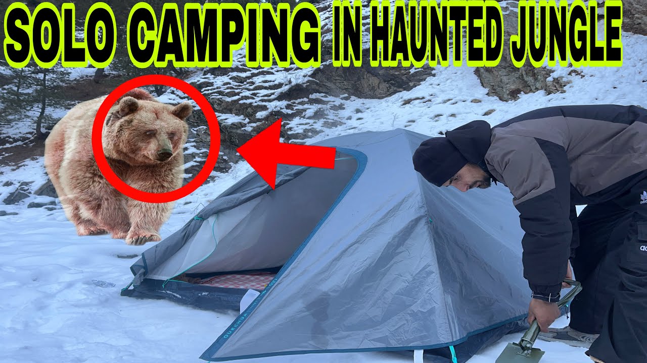 Solo Winter Camping In The Wild Forest 🌳 | Coldest wether Camping in Kashmir india | #snow 