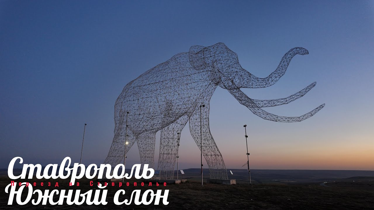 Ставрополь/Дёмино/Южный слон