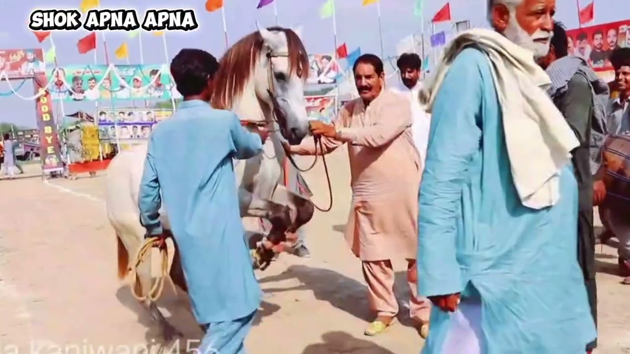 Ghoda dance mela kanvani 2025
