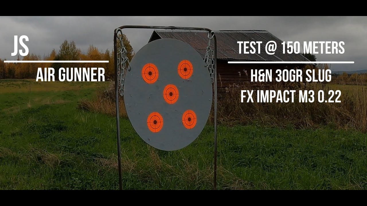 H&N 30gr .217 slug @ 150 meters