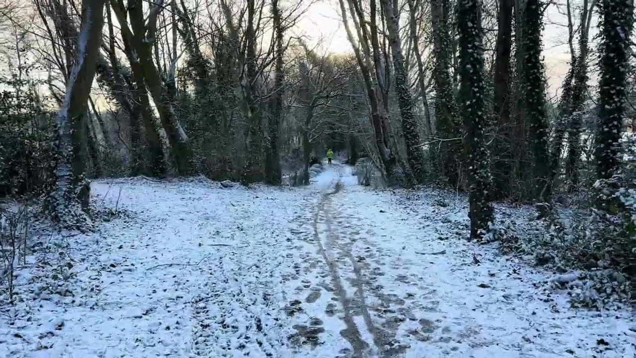 WALKING through a FOREST after SNOW in LISBURN CITY in NORTHERN IRELAND☘️4K (60fps)