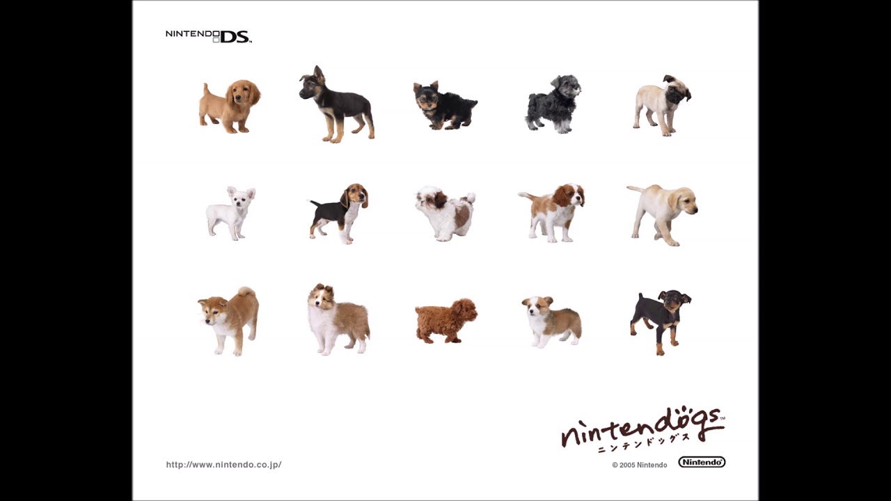 Nintendogs - Waves Record