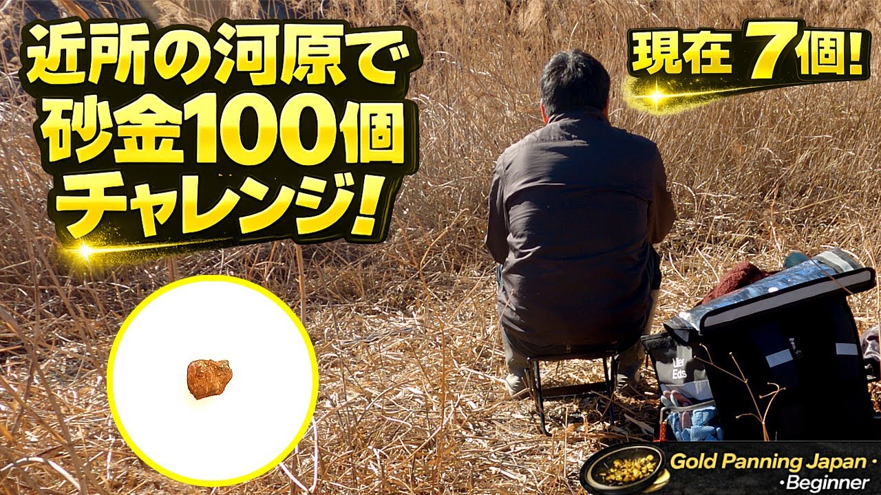 ↑金？黄鉄鉱？今回は草刈ります・・初心者が金100個にチャレンジ！現在7個！　AI×金属探知機｜Gold Panning in Japan＃砂金＃砂金採り#goldrush ＃金