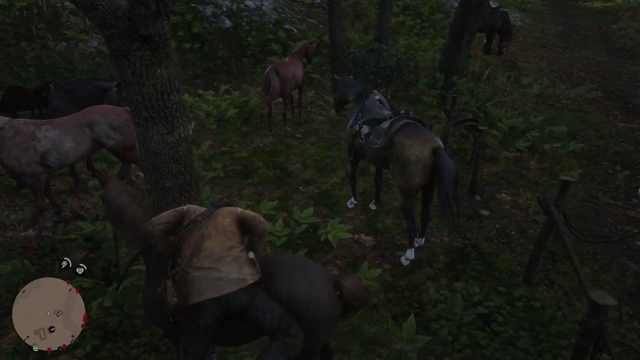 Red Dead Redemption 2  [GameplayITA]  Lascia un like E iscriviti su YouTube 