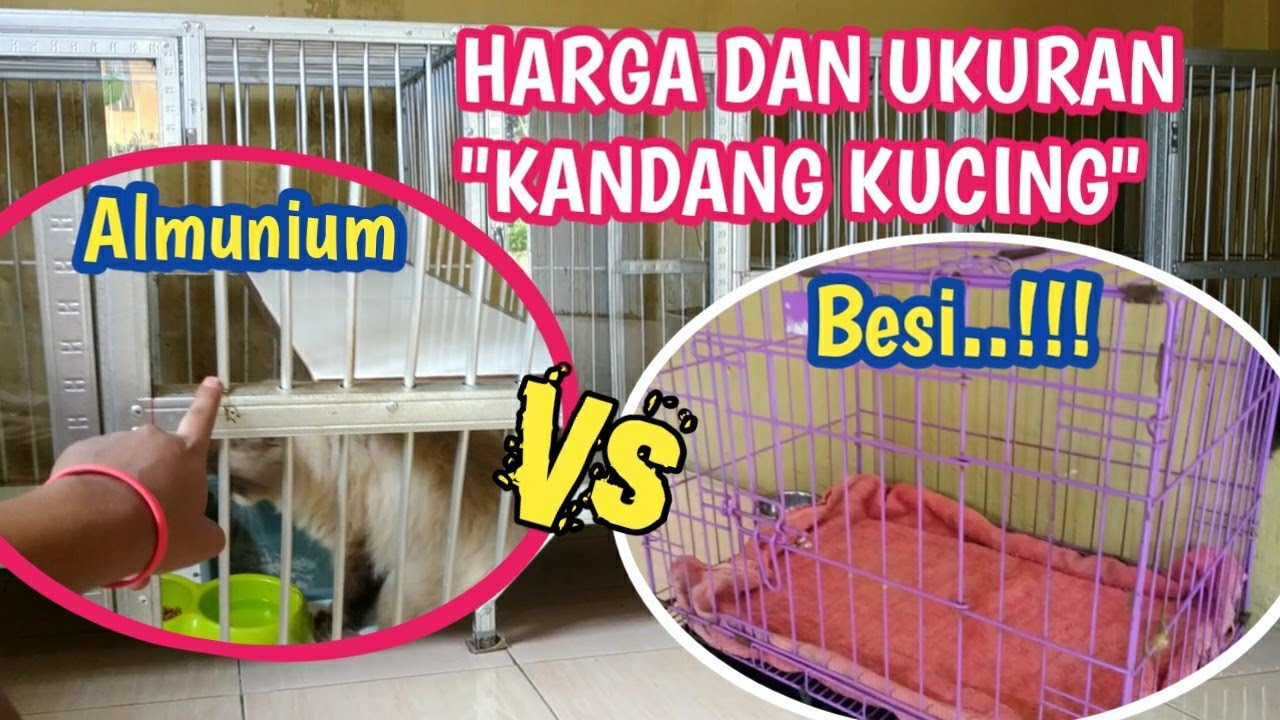 UKURAN DAN HARGA KANDANG KUCING YANG ADA DI RUANGAN KUCING GUA